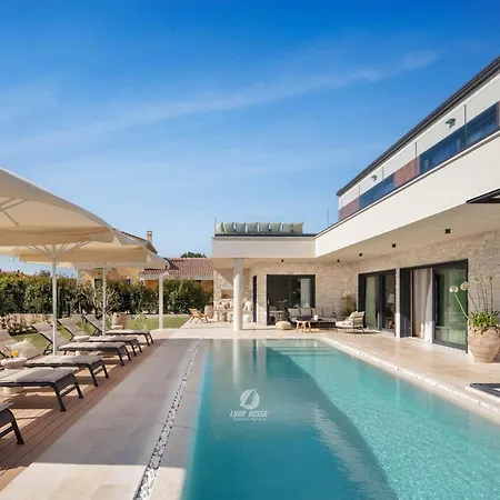 Vakantiehuis Luxury With Heated Infinity Pool And Sauna Butoniga